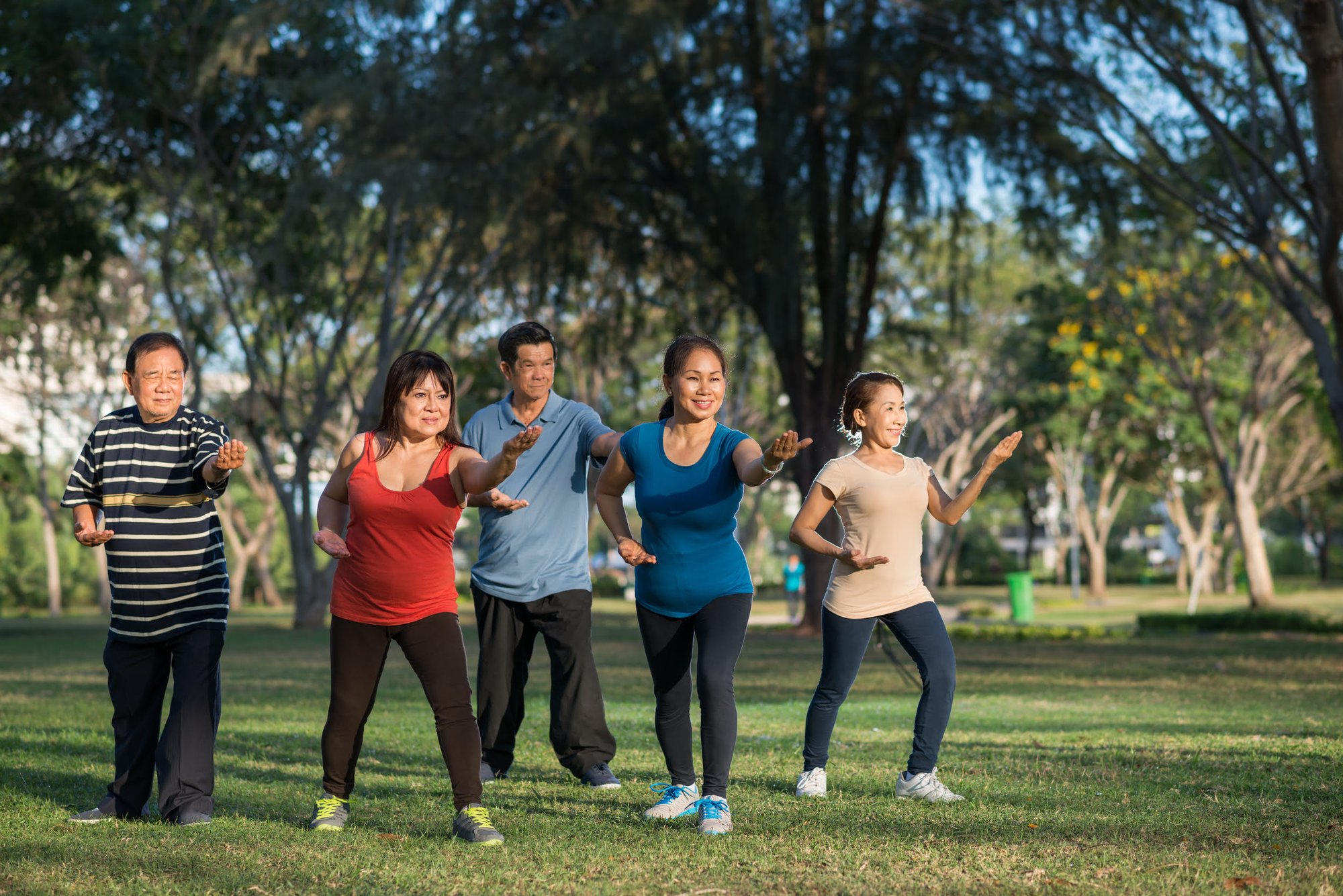 tai-chi-for-health-2023-11-27-05